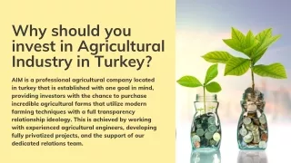 Why should you invest in Agricultural Industry in Turkey?