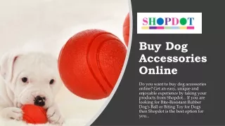 Buy Dog Accessories Online