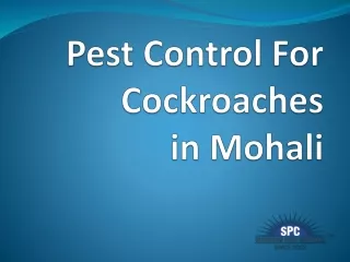 Pest Control For Cockroaches in Mohali