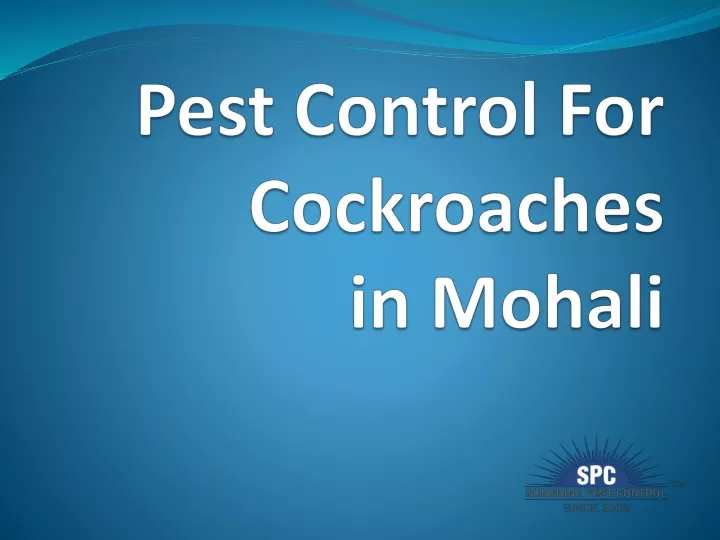 pest control for cockroaches in mohali