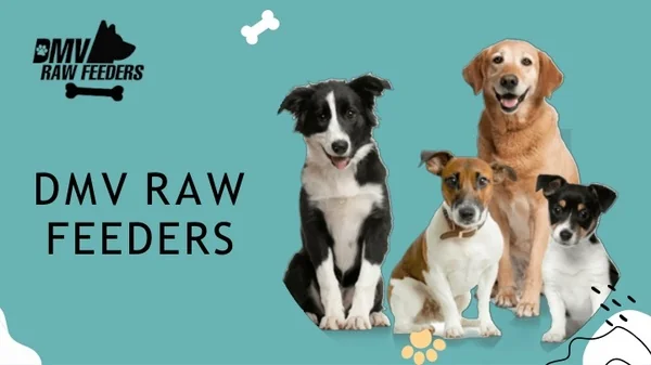 Dog Food Delivery | DMV Raw Feeders