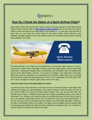 How Do I Check the Status of a Spirit Flight