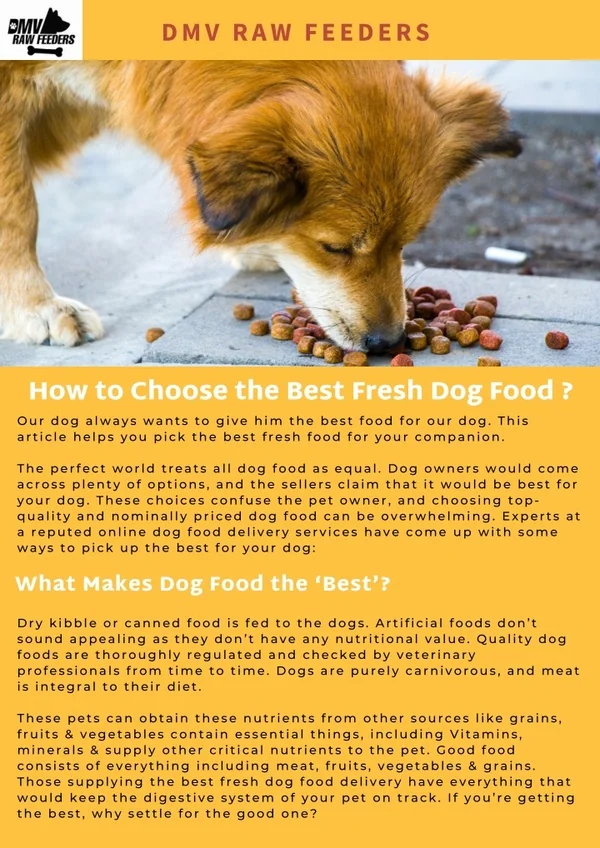 How to choose the Best Fresh Dog Food?