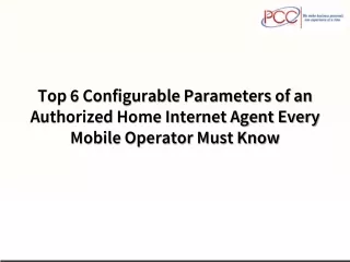 Top 6 Configurable Parameters of an Authorized Home Internet Agent Every Mobile Operator Must Know