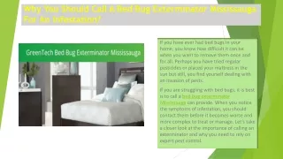Why You Should Call A Bed Bug Exterminator Mississauga For An Infestation