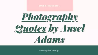 Photography Quotes by Ansel Adams