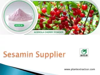 Sesamin Supplier