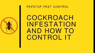 COCKROACH INFESTATION AND HOW TO CONTROL IT