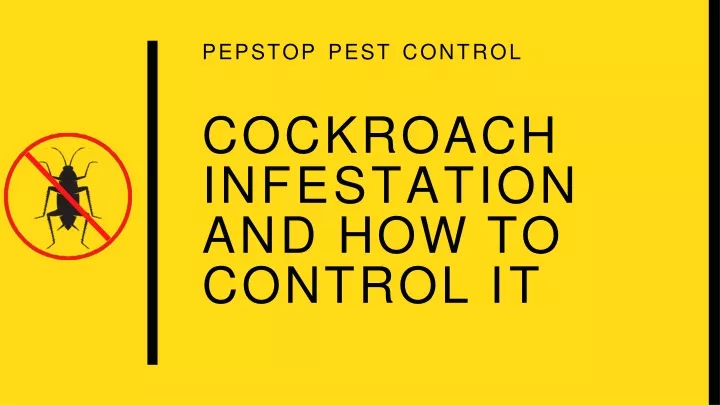 pepstop pest control