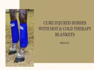 Cure injured horse with hot aand cold therapy blanket