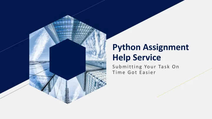 python assignment help service