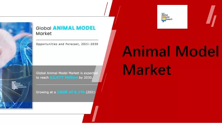 animal model market