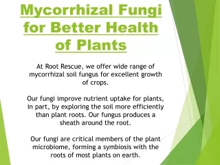 Mycorrhizal Fungi for Better Health of Plants