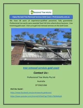 Enjoy the best Tree Removal Services Gold Coast | Protreeworks.com.au
