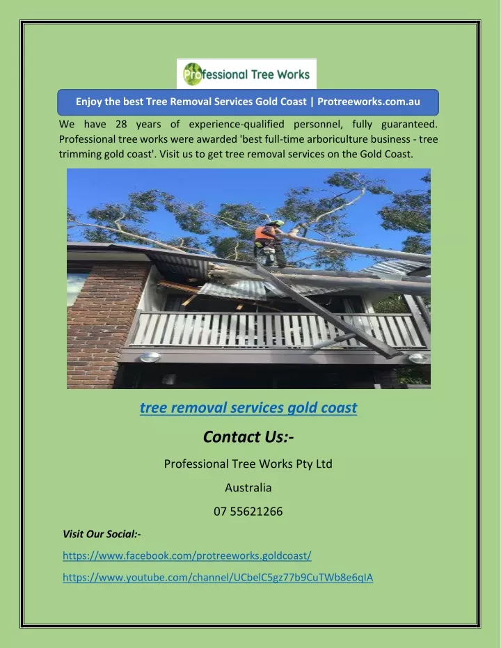 enjoy the best tree removal services gold coast