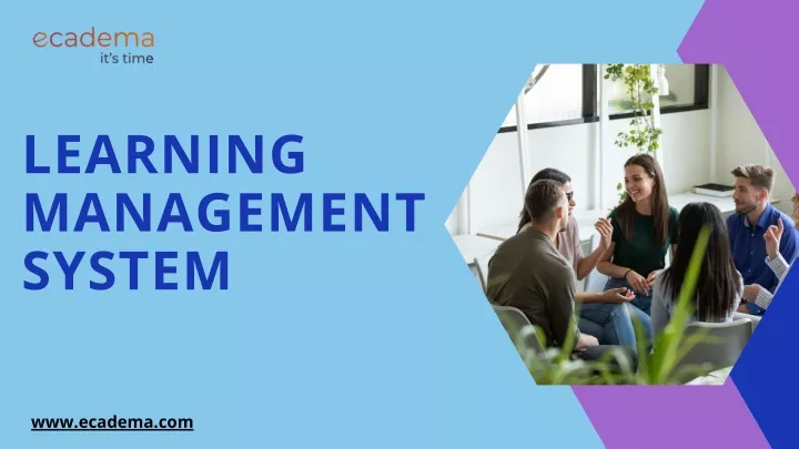 learning management system