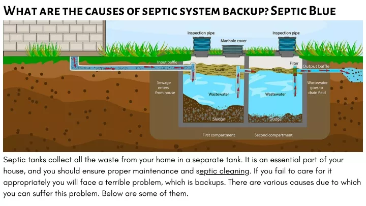 what are the causes of septic system backup