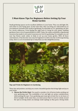 5 Must-Know Tips For Beginners Before Setting Up Your Home Garden