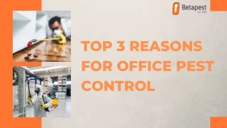 Top 3 Reasons for Office Pest Control