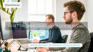 Minecraft Skyblock Servers