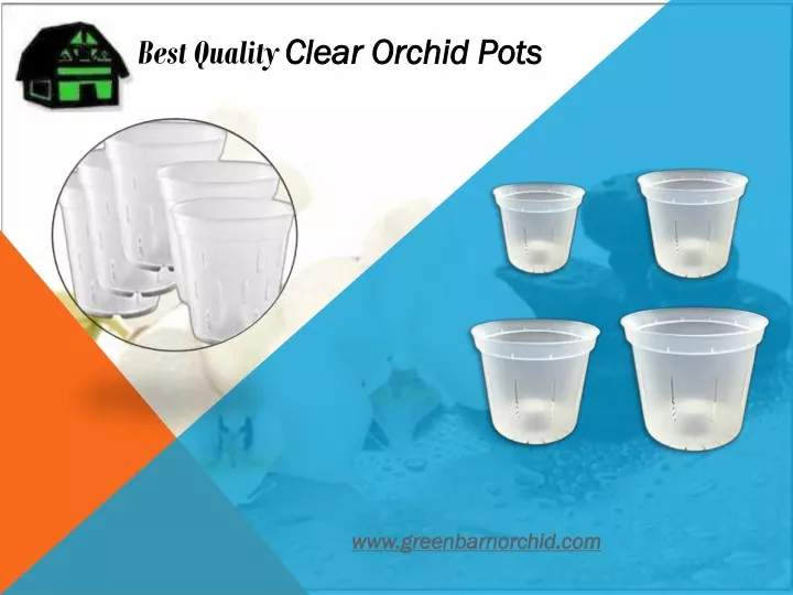 best quality clear orchid pots clear orchid pots