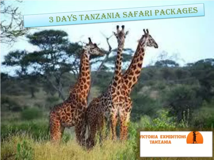 3 days tanzania safari packages