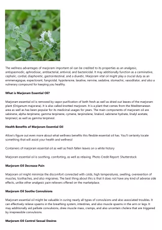 The Outstanding Advantages Of Marjoram Essential Oil