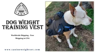 Dog Weight Training Vest