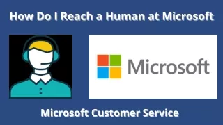 how do i reach a human at microsoft