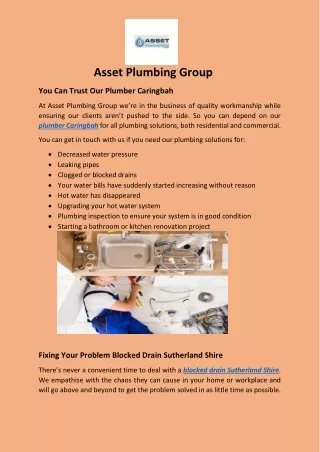 asset plumbing group you can trust our plumber