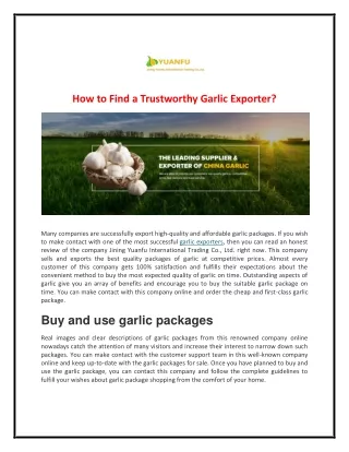 How to Find a Trustworthy Garlic Exporter?