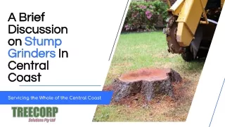 A Brief Discussion on Stump Grinders In Central Coast
