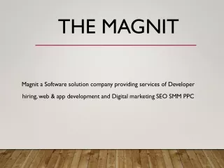 Custom Website & Mobile App development Company | Magnit