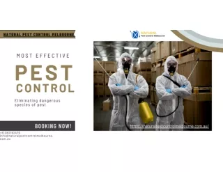 Pest Control Melbourne