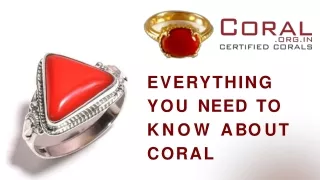 everything you need to k n o w a b o u t coral