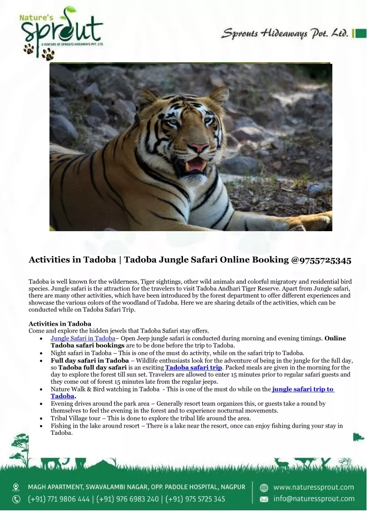 activities in tadoba tadoba jungle safari online