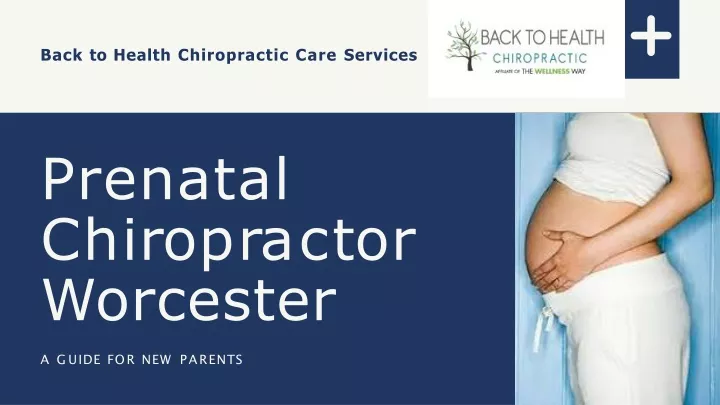back to health chiropractic care services