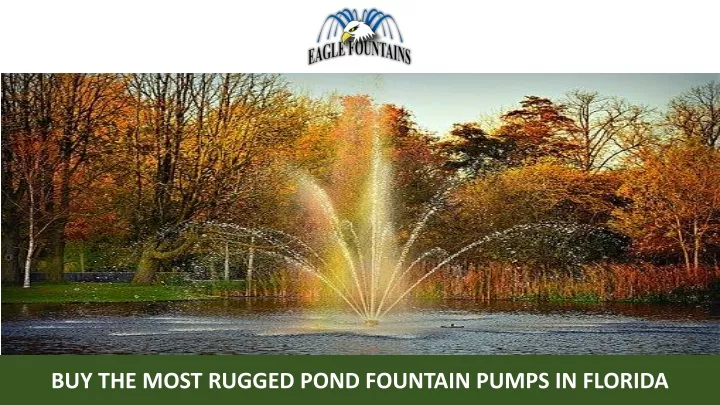 buy the most rugged pond fountain pumps in florida