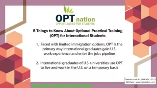 What is OPT _ 5 things to know about optional practical training