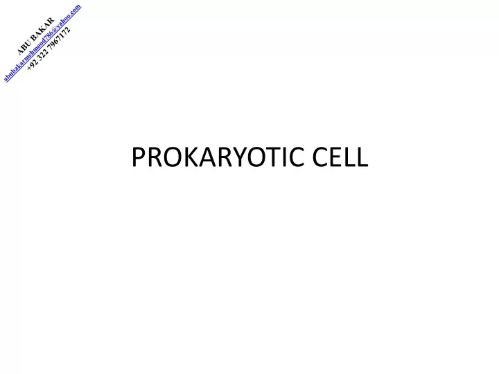 prokaryotic cell