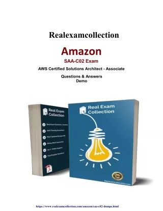 Amazon   SAA-C02  Dumps Instant Success in  SAA-C02 Exam | RealExamCollection