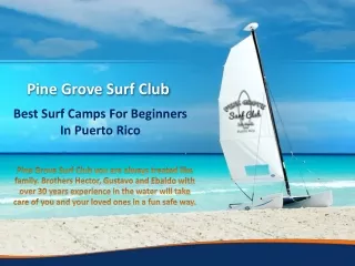 Best Surf Camps And Tours For Beginners In Puerto Rico
