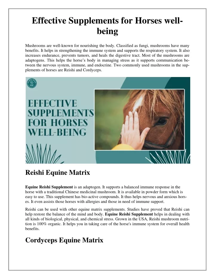 effective supplements for horses well being