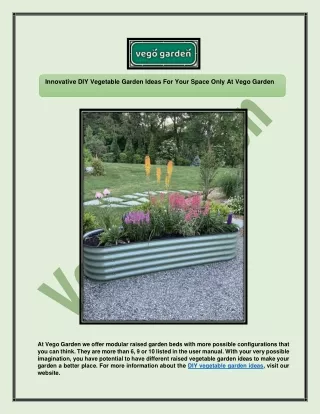 Innovative DIY vegetable garden ideas for your space only at Vego Garden