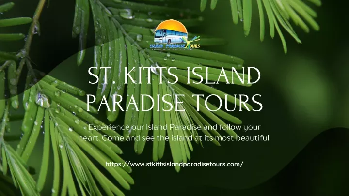 st kitts island paradise tours