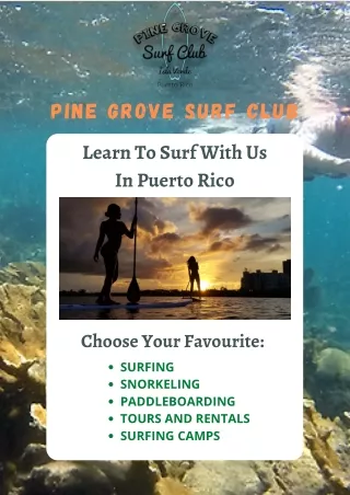 Pine Grove Surf Club | Learn To Surf In Puerto Rico
