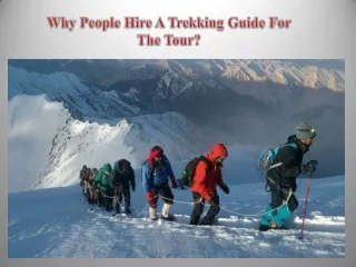 Why People Hire A Trekking Guide For The Tour