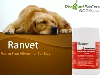 Ranvet Worm Free Allwormer For Dogs | DiscountPetCare