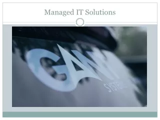 Managet IT  Solution - Gant Systems