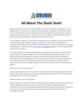 all about the shark teeth